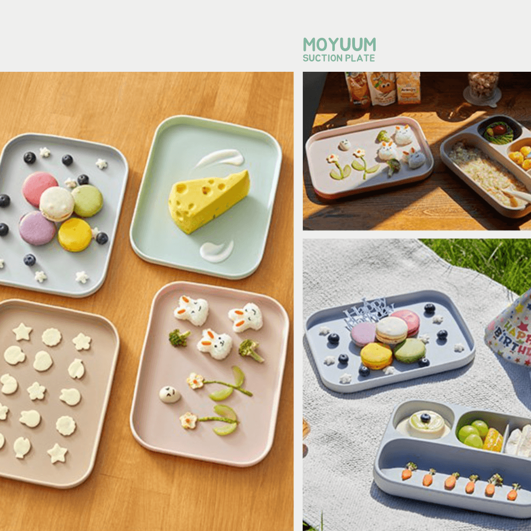 모윰 흡착 식판 Moyuum Tray Suction Plate - 2pc (Plate & Cover) | Moyuum - Mamarang