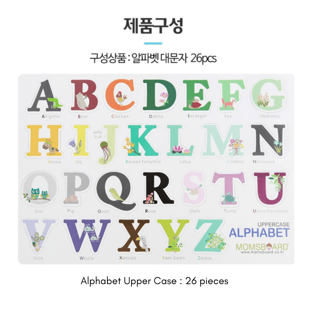 Magnetic Word (Alphabet Upper) | 문자 자석놀이 (알파벳대) - Mamarang